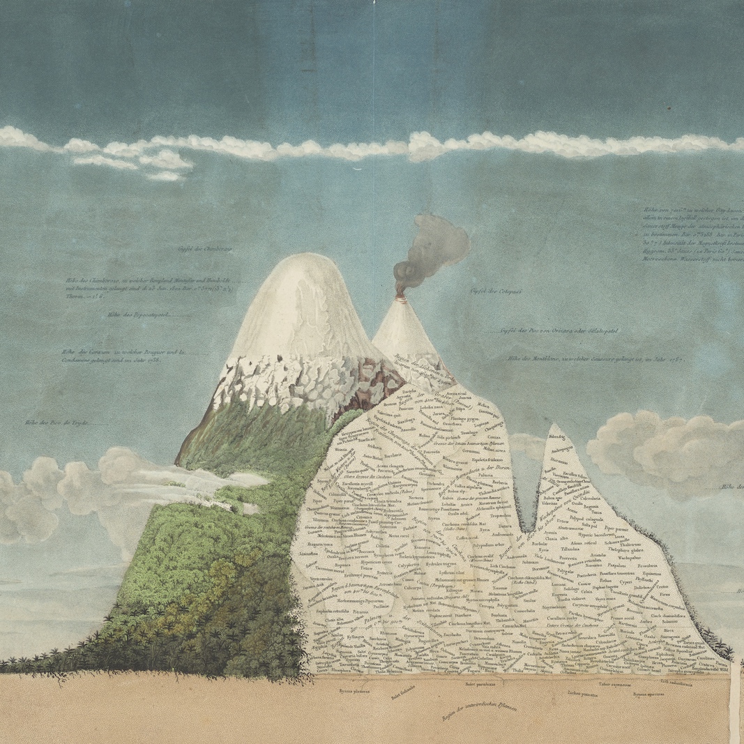 Map of Mount Chimborazo in Ecuador. By depicting plant life according to elevation, this map connects disparate climate zones across the globe.